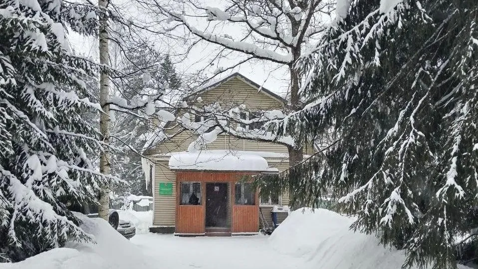 Комитет лесного хозяйства Московской области