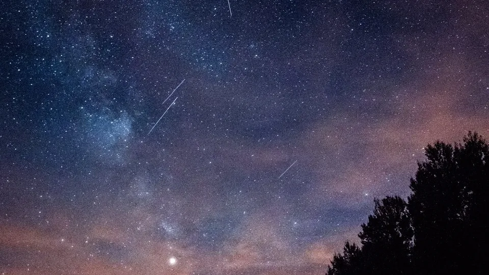 Фото: unsplash.com