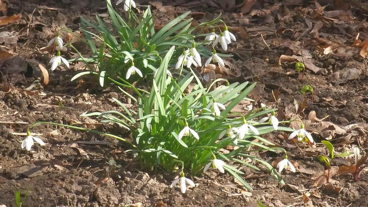МедиаБанк Подмосковья/Валерия Исаева