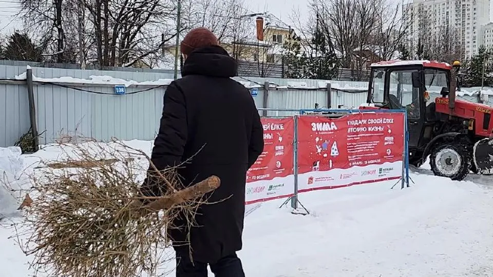 Фото: МедиаБанк Подмосковья/Никита Сморкалов