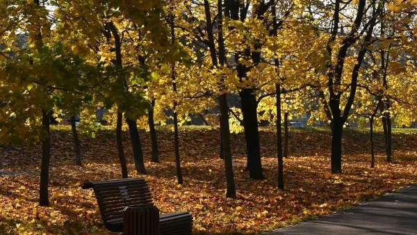 До 12 градусов тепла ожидается в столичном регионе в субботу