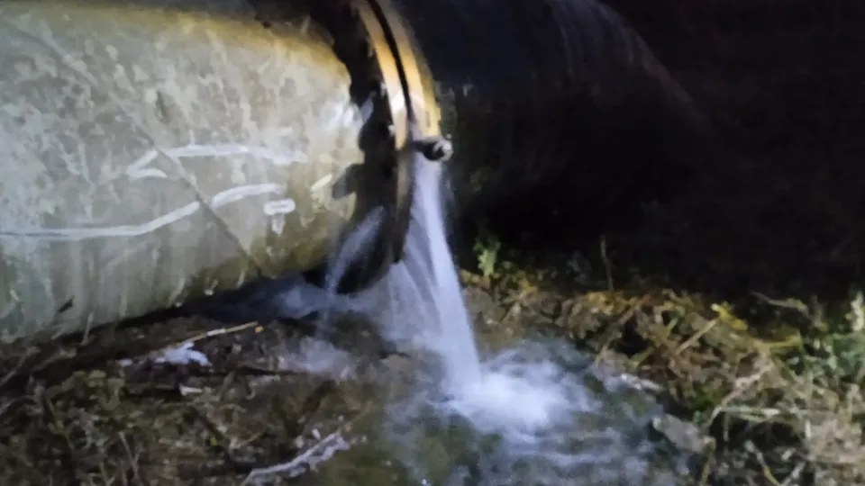 Фото: REGIONS/Наталия Надточая