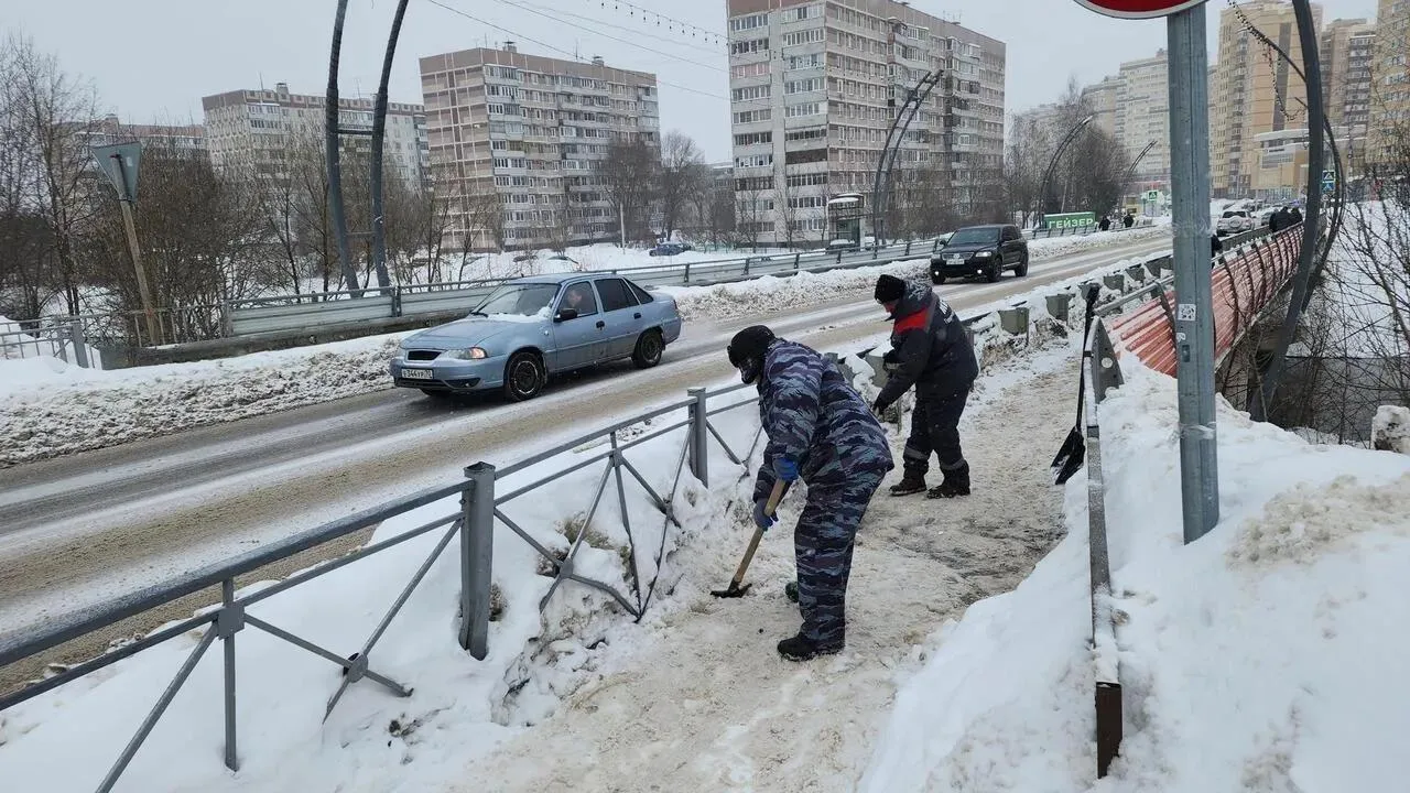 REGIONS/Валерия Тингаева