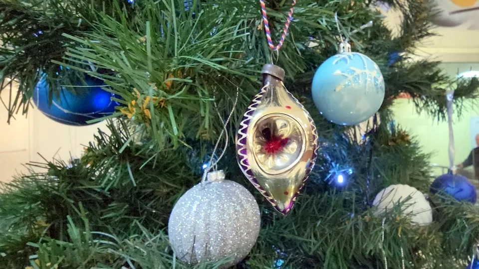 Фото: МедиаБанк Подмосковья/Наталья Лымарь