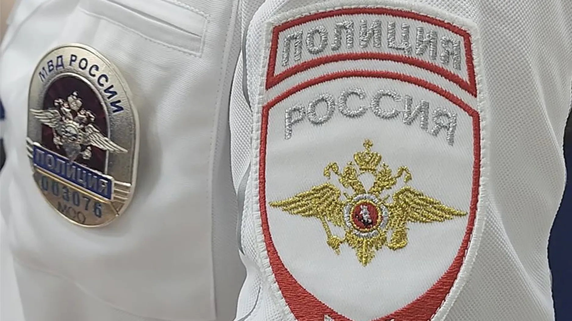 фото: ГУ МВД РФ по МО