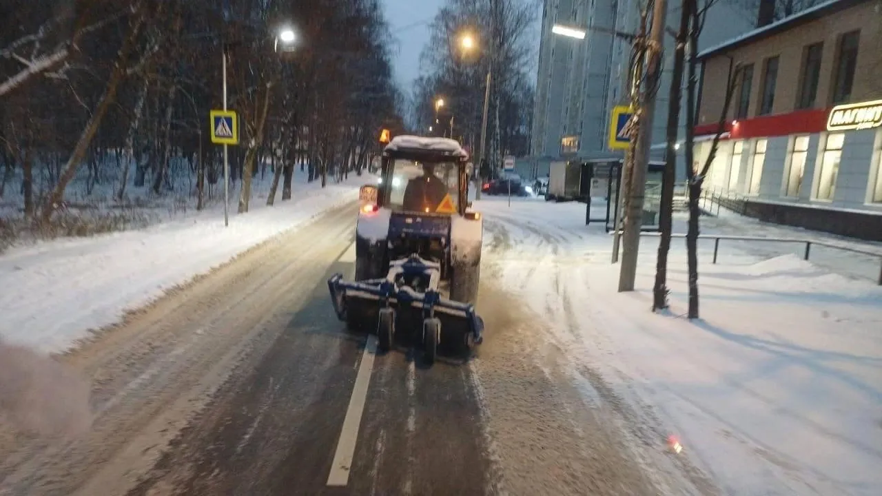 Михаил Раскин