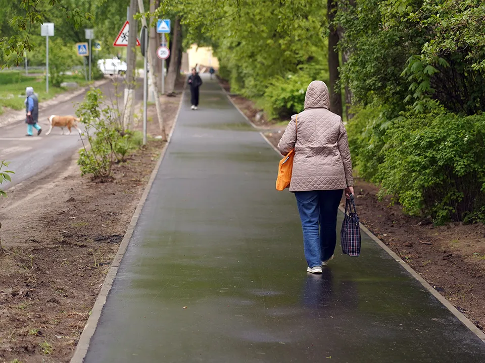 Фото: пресс-служба губернатора и правительства Московской области