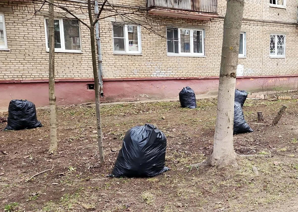 Фото: Нина Басистая