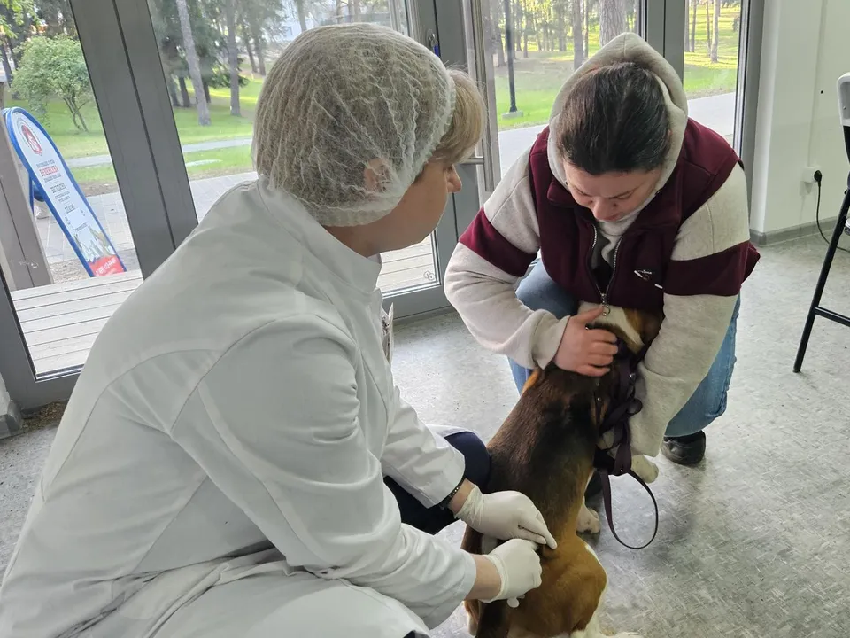 Фото: Ольга Вельшикаева