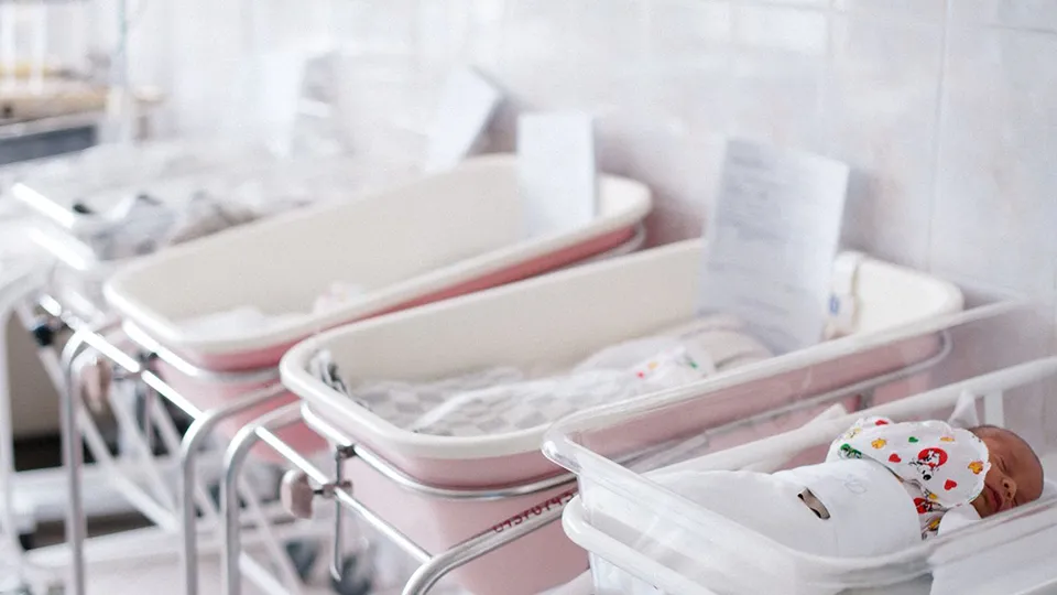 Фото: медиасток.рф