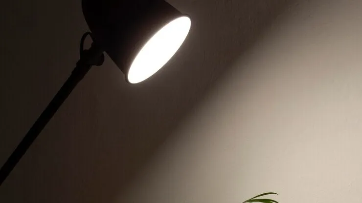 Фото: freepik.com