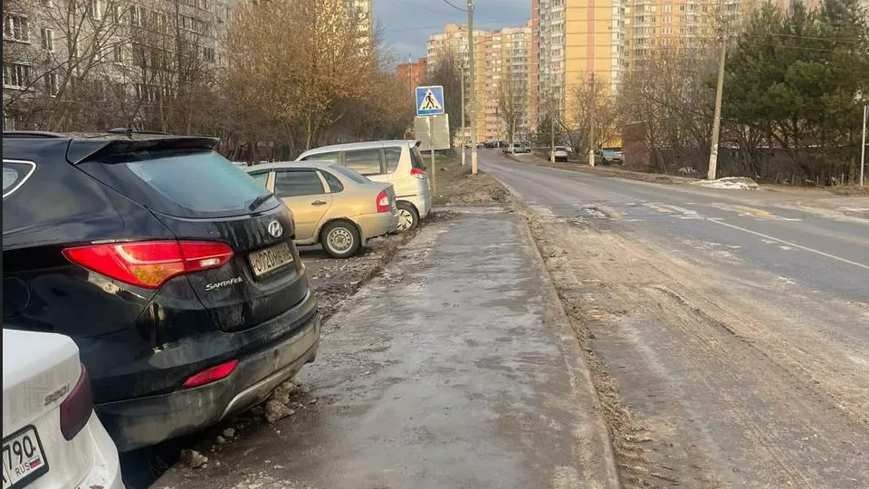 Фото: пресс-служба администрации г. о. Фрязино