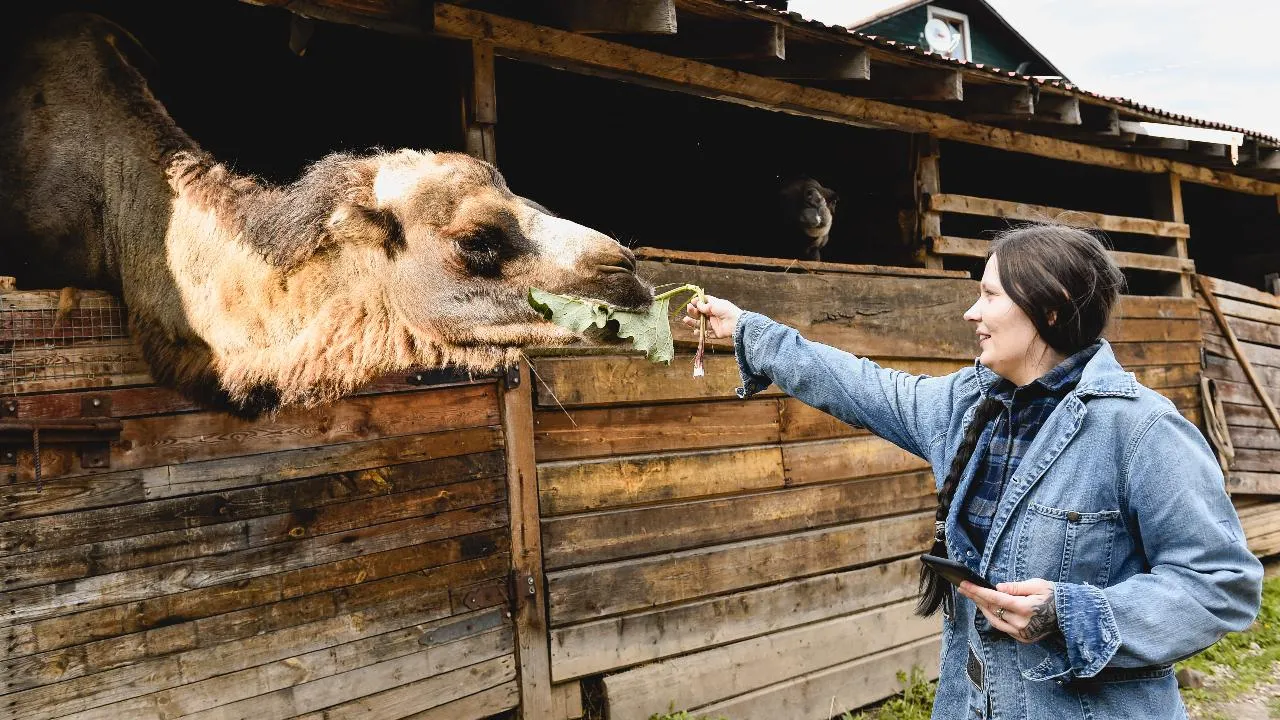 медиасток.рф