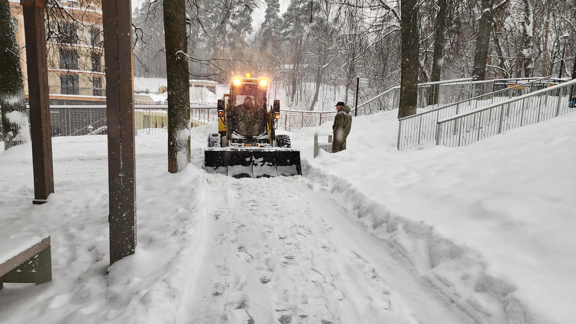 Хавива Фонина