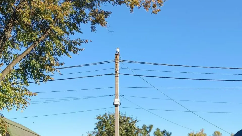 Фото: администрация м.о. Лотошино