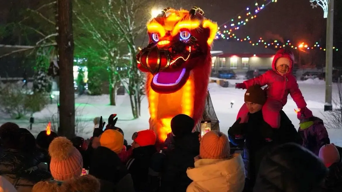 Фото: Дмитрий Акулов/ТГ-канал