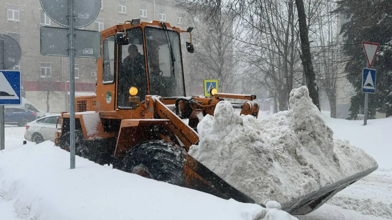 МедиаБанк Подмосковья/Наталья Лымарь