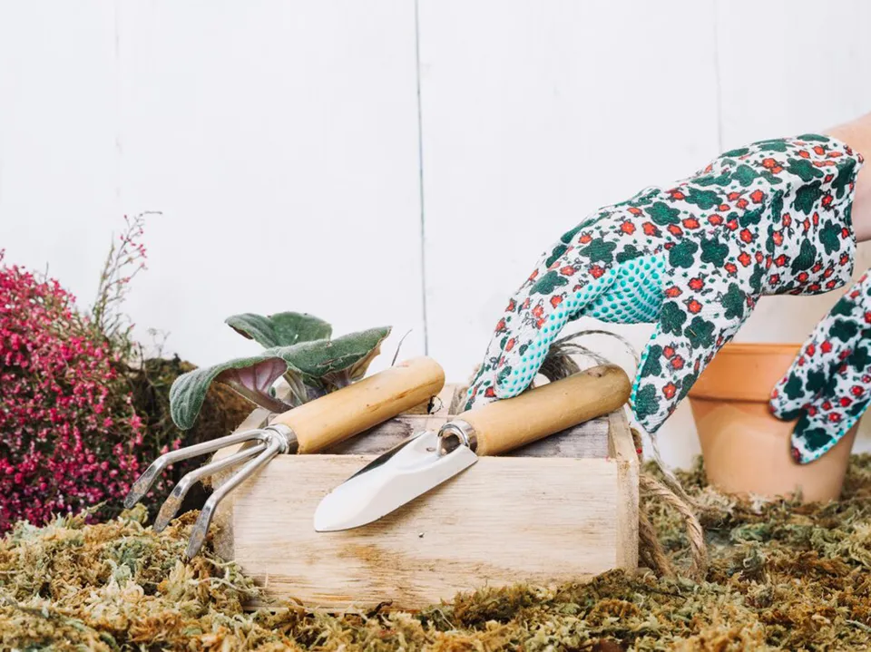 Фото: freepik.com