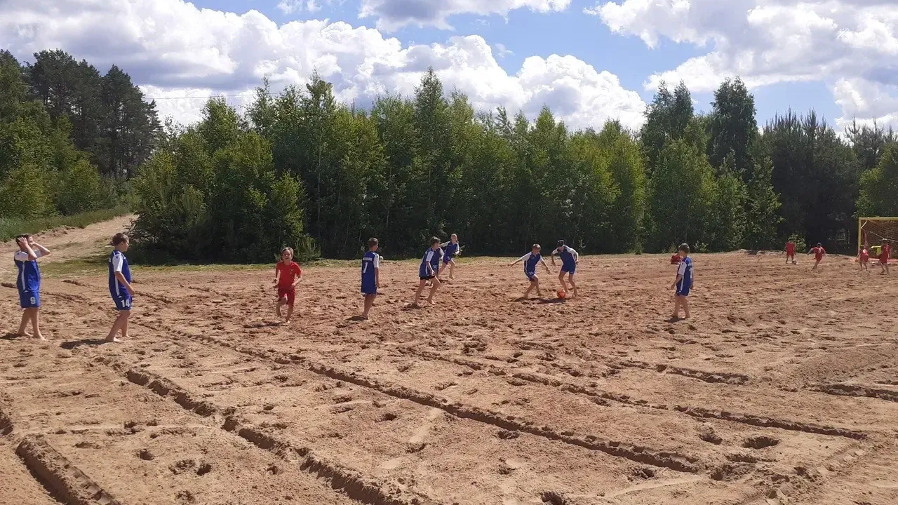 Фото: Министерство благоустройства Московской области