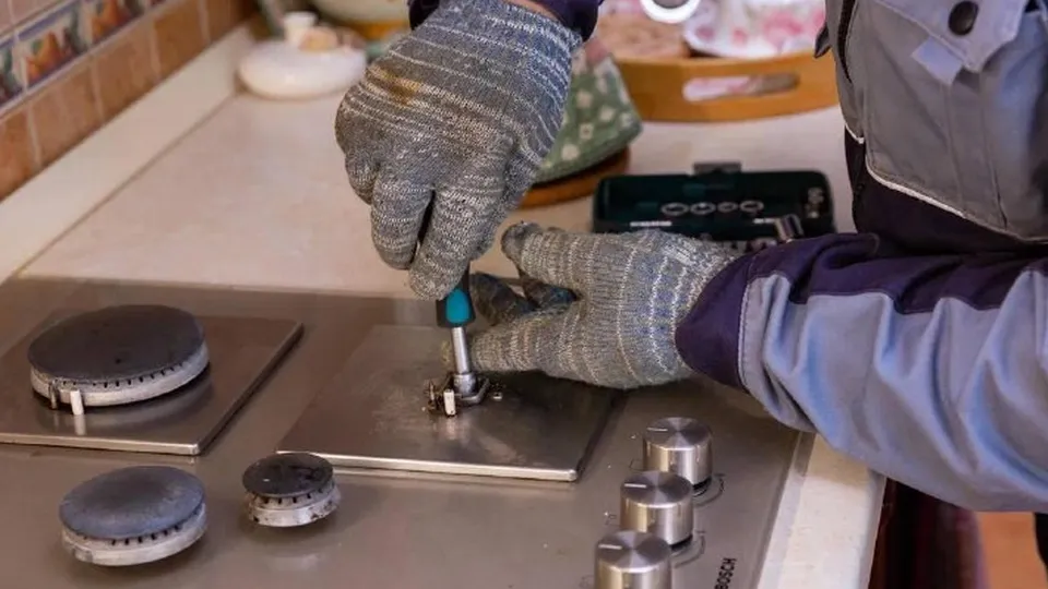 Фото: пресс-служба губернатора и правительства Московской области