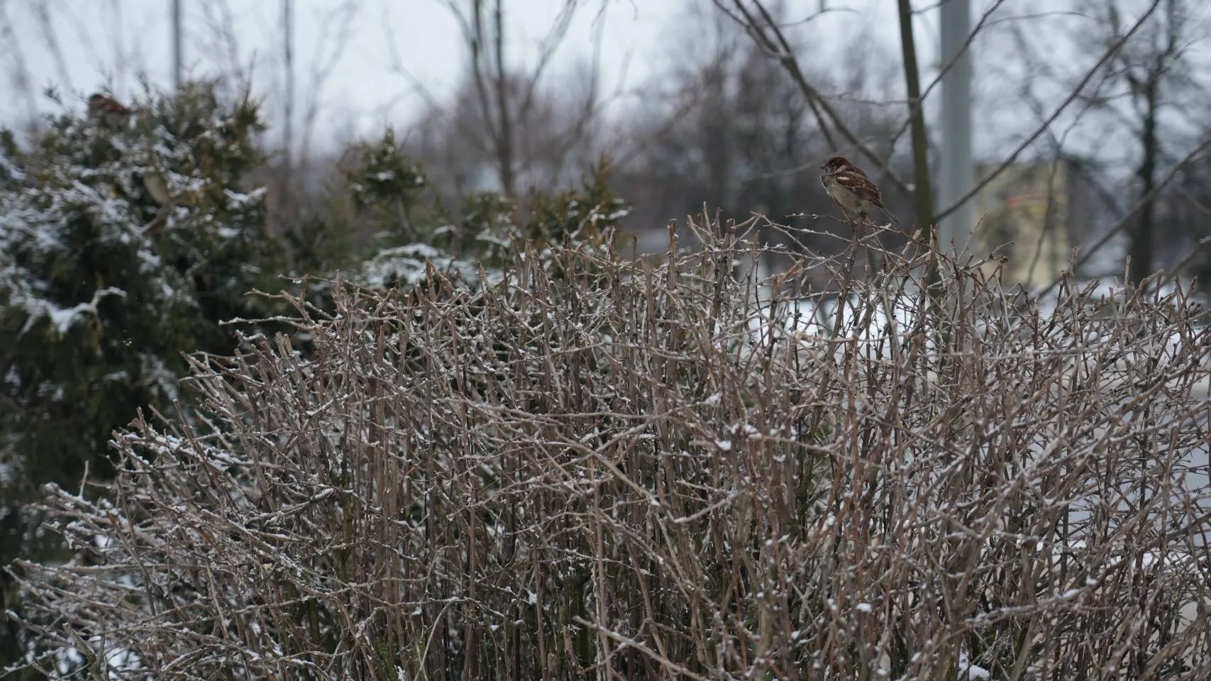 Фото: МедиаБанк Подмосковья/Дмитрий Зайчиков