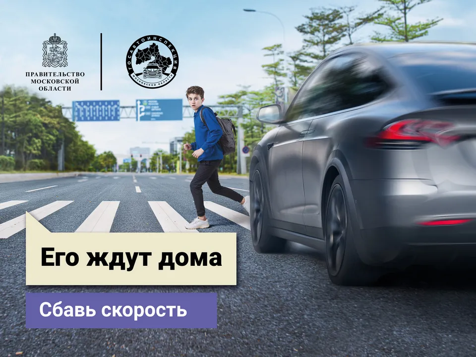 Фото: Госавтоинспекция по Московской области