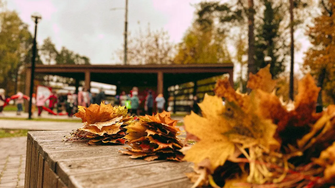 Фото: t.me/DubnaParki