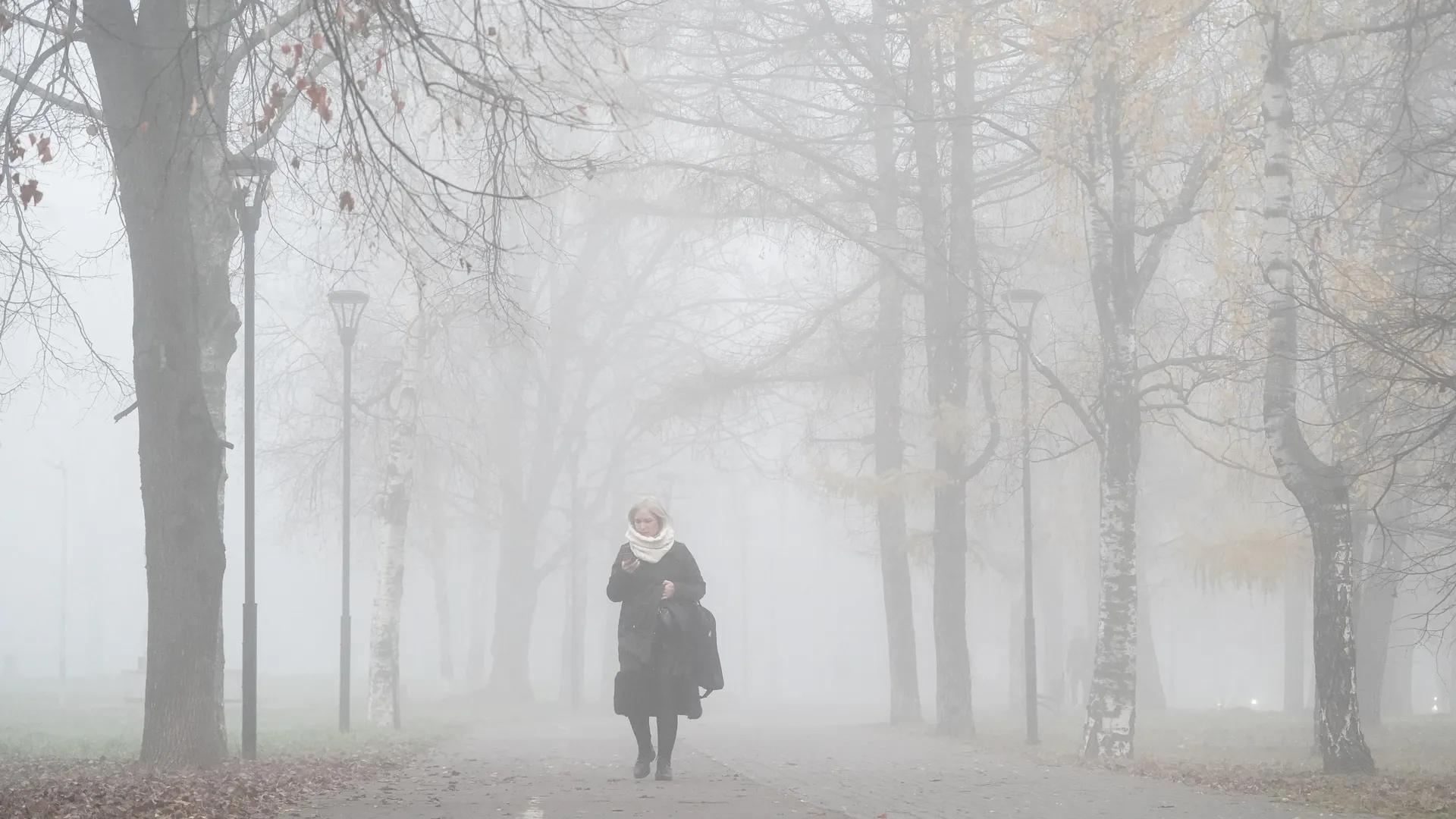 медиасток.рф