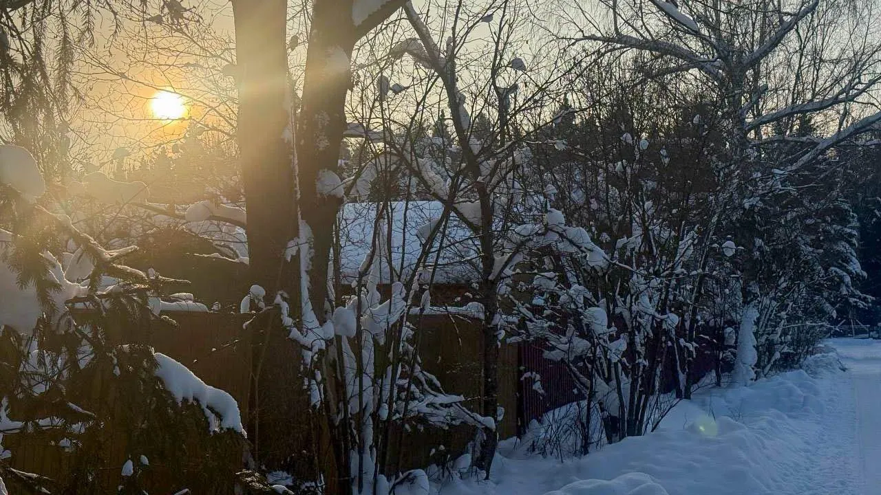 REGIONS/Анастасия Малышенко