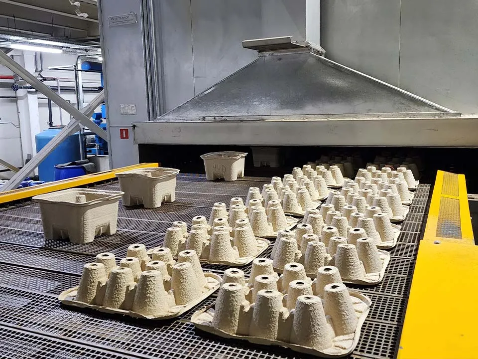 Фото: МедиаБанк Подмосковья/Валентина Максимова&nbsp;