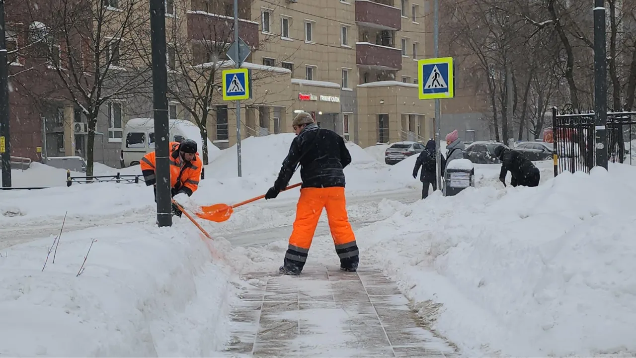 МедиаБанк Подмосковья/Наталья Лымарь