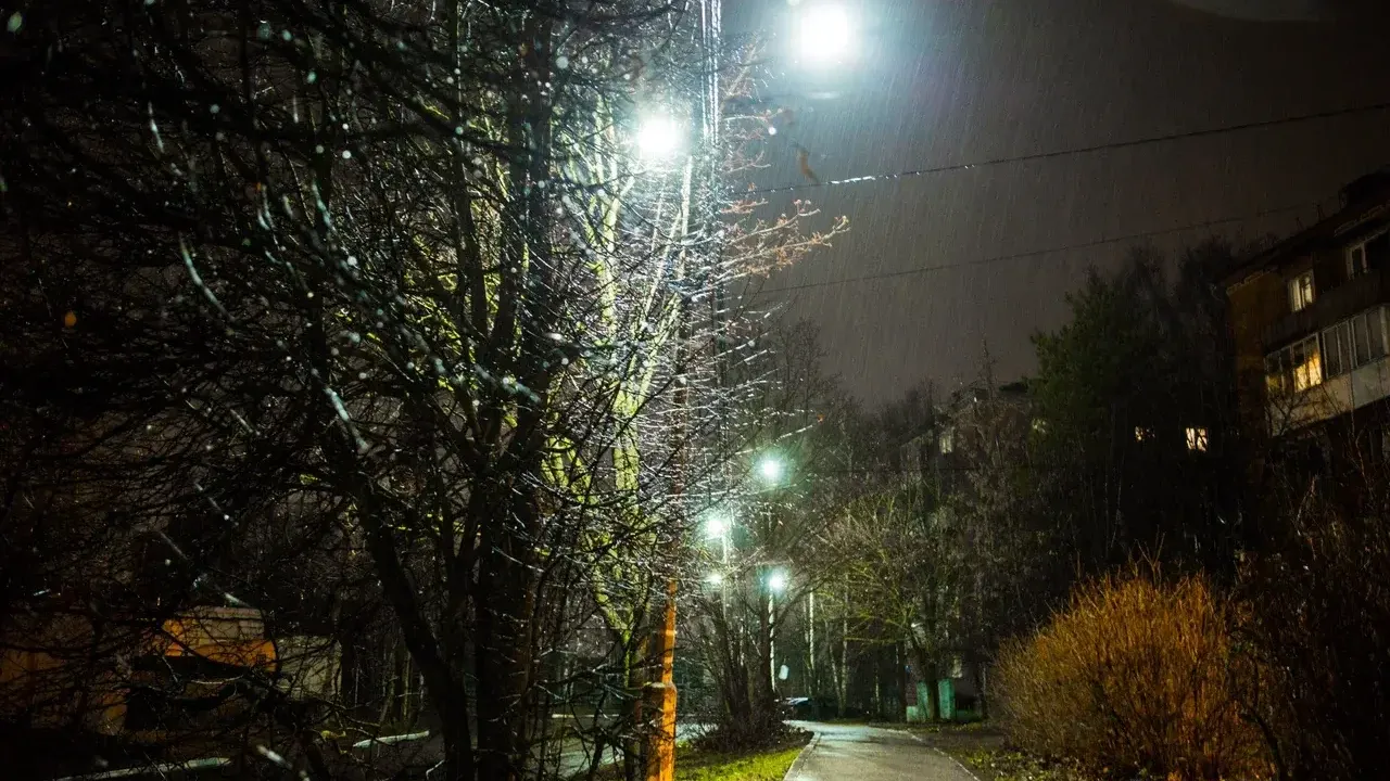 Фото: министерство благоустройства Московской области