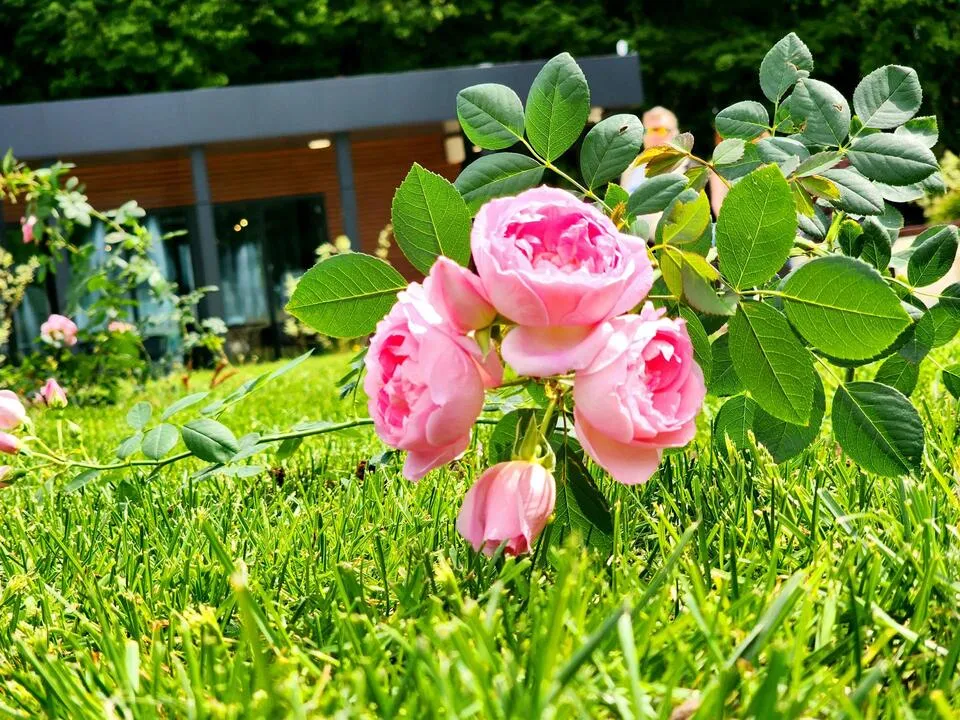 Фото: Мария Панина