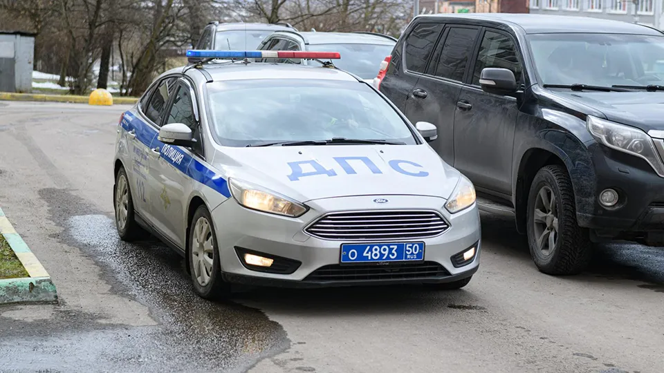 Фото: МедиаБанк Подмосковья/Данила Новак