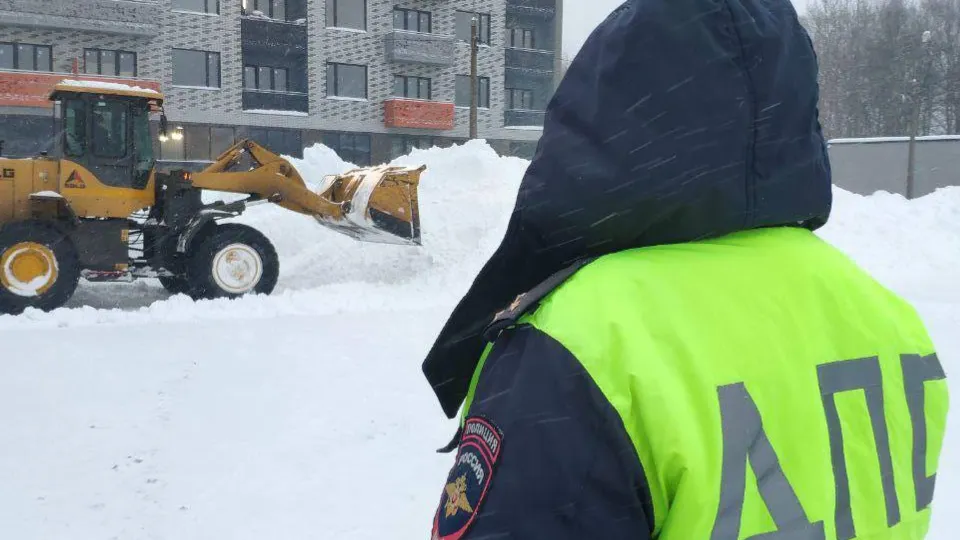 Фото: Управление МВД России по Ленинскому г.о.