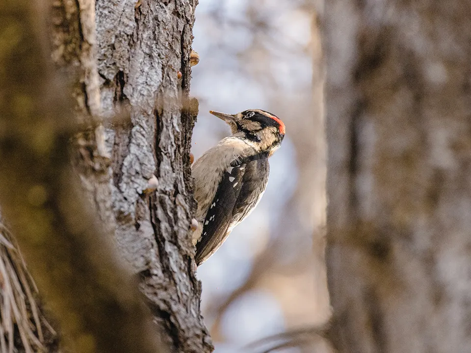 Фото: freepik.com