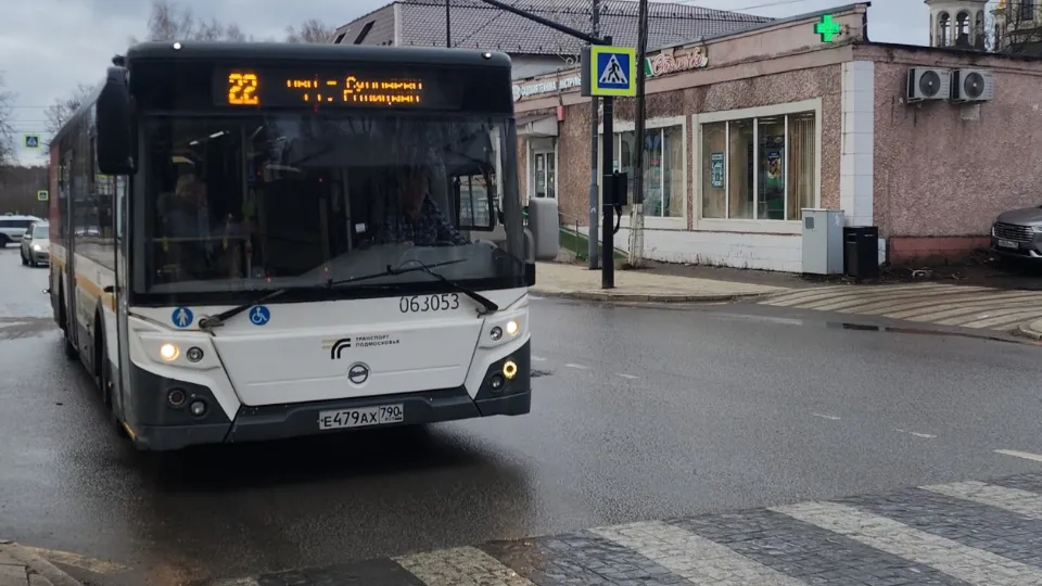 Фото: МедиаБанк Подмосковья/Хавива Фонина