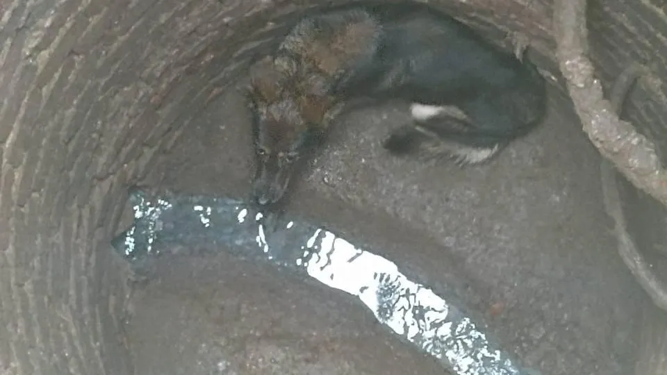 Фото: администрация Рузского г.о.