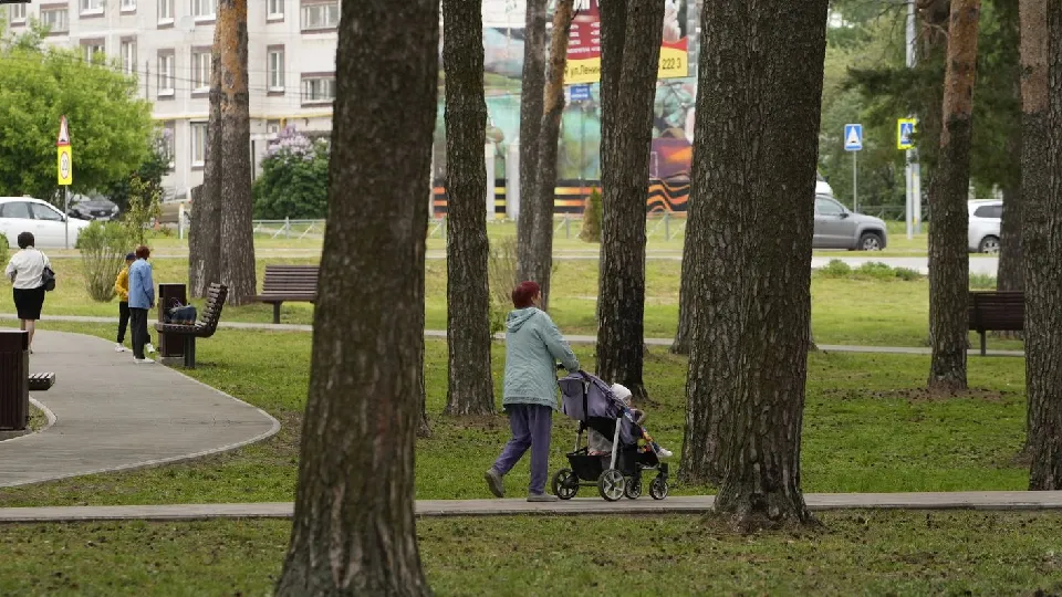 Фото: медиасток.рф