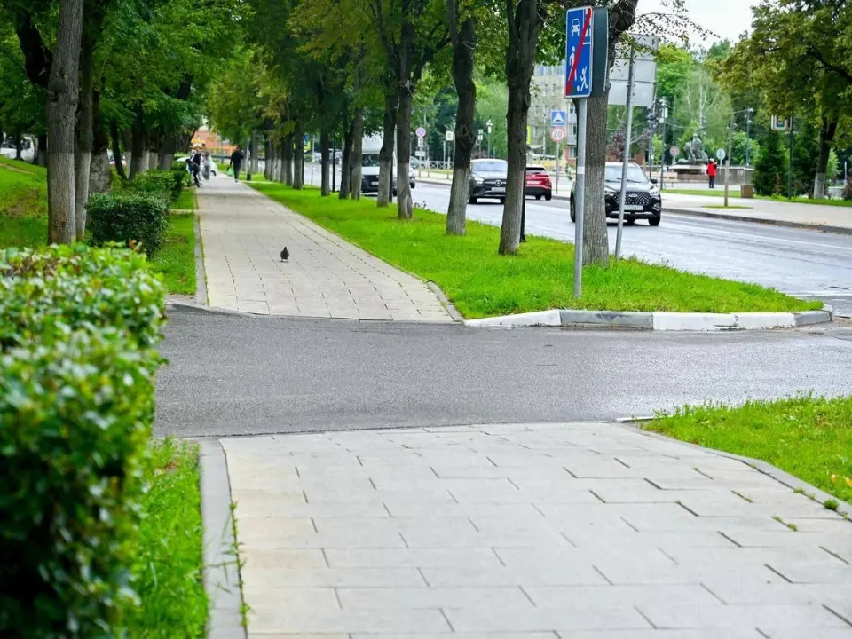 Фото: пресс-служба администрации Ленинского г.о.