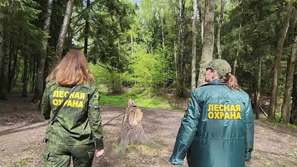 Фото: МедиаБанк Подмосковья/Никита Сморкалов