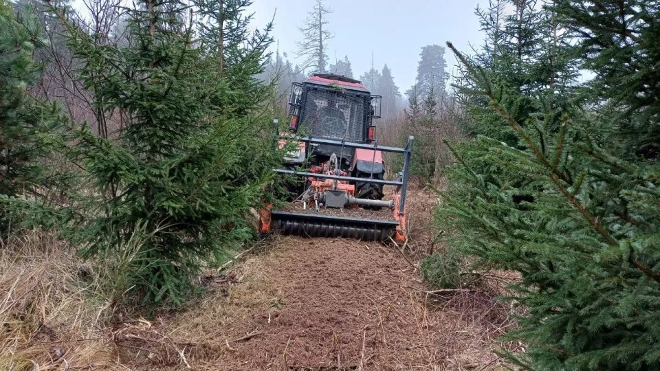 Фото: Комитет лесного хозяйства Московской области