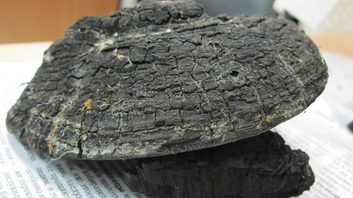 Фото: Валерий Темнухин ВКонтакте