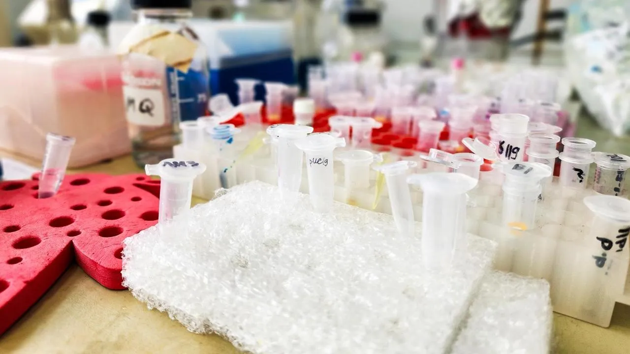 REGIONS/Мария Панина