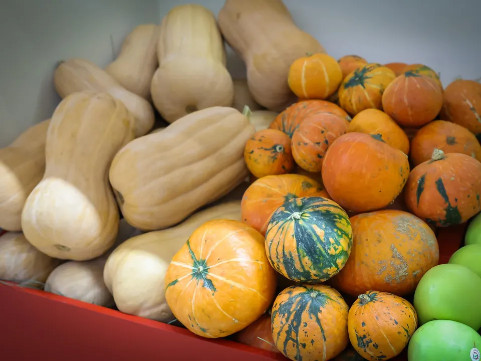 Фото: Минсельхоз Московской области