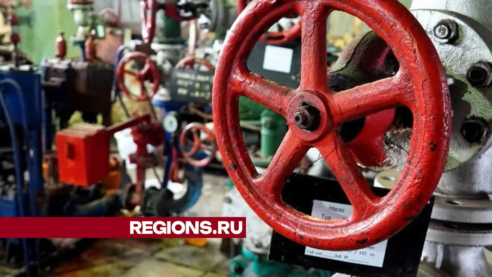 Фото: Дарья Леонова