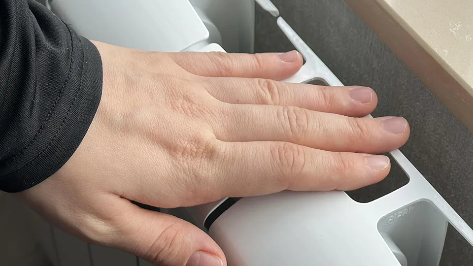 Фото: МедиаБанк Подмосковья/Кристина Тришина