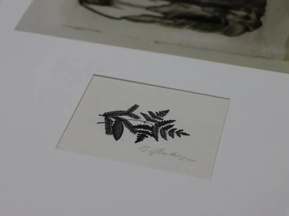 Фото: Коломенская картинная галерея «Дом Озерова»