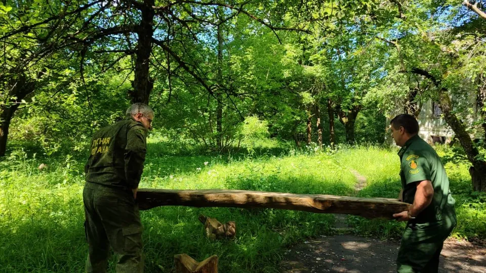 Фото: Комитет лесного хозяйства Московской области