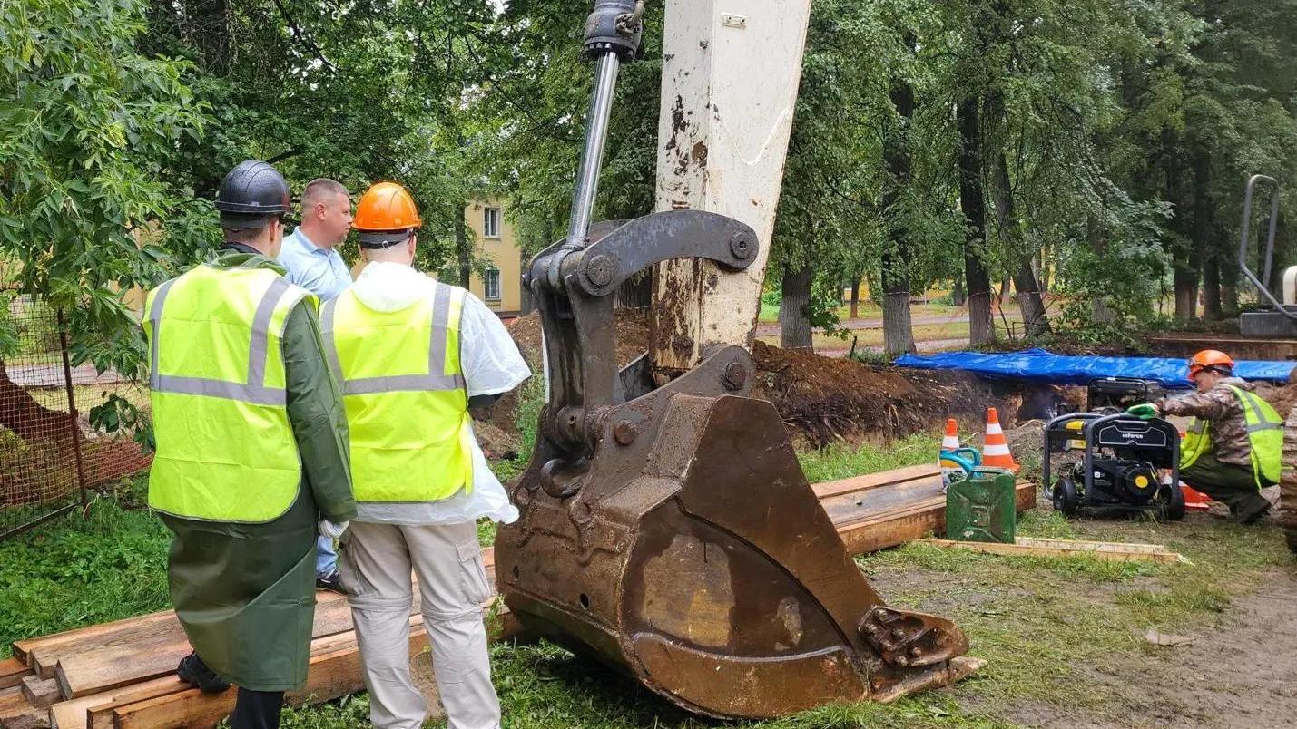 Фото: Нина Басистая